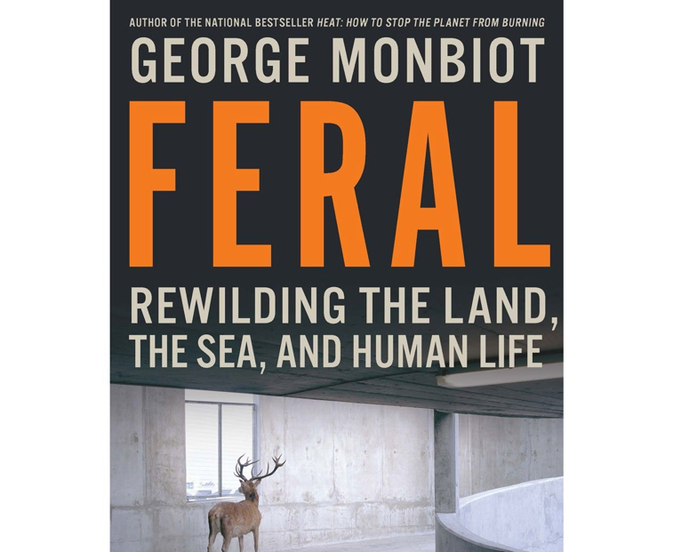 Book cover with title and deer in car park