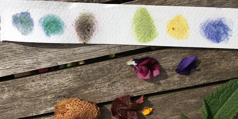 Paints made from flowers and natural materials