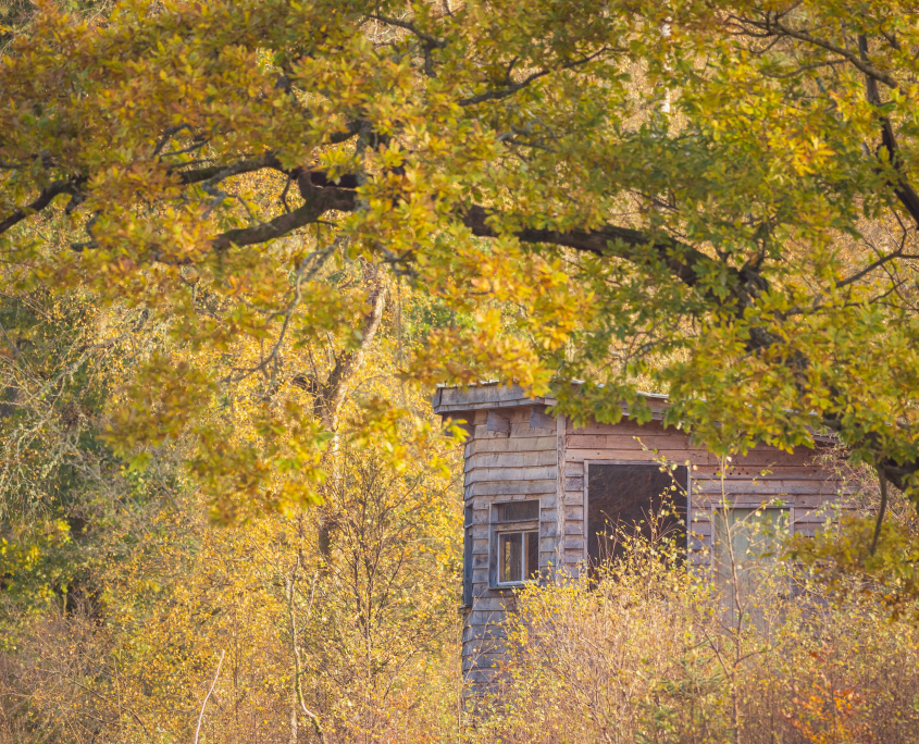 Hideaway in Autumn